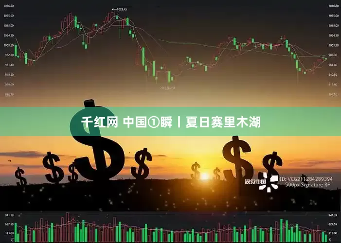 千红网 中国①瞬丨夏日赛里木湖