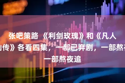 张吧策路 《利剑玫瑰》和《凡人修仙传》各看四集，一部已弃剧，一部熬夜追