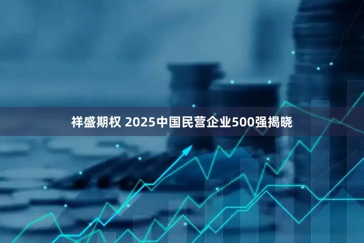 祥盛期权 2025中国民营企业500强揭晓