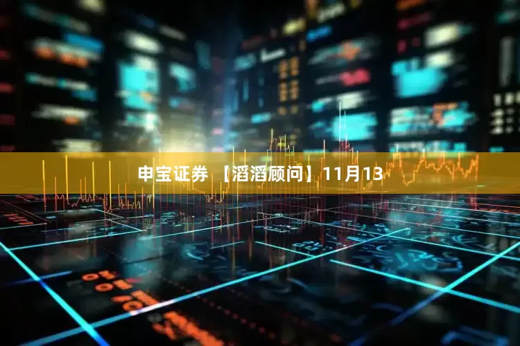 申宝证券 【滔滔顾问】11月13