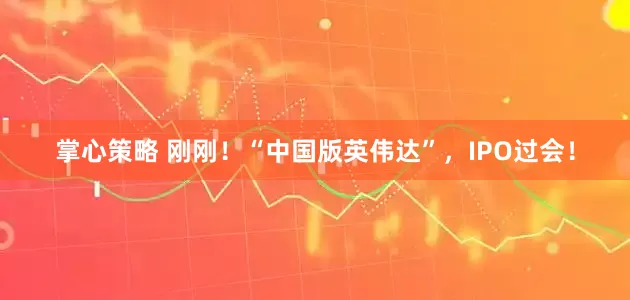 掌心策略 刚刚!“中国版英伟达”,IPO过会!